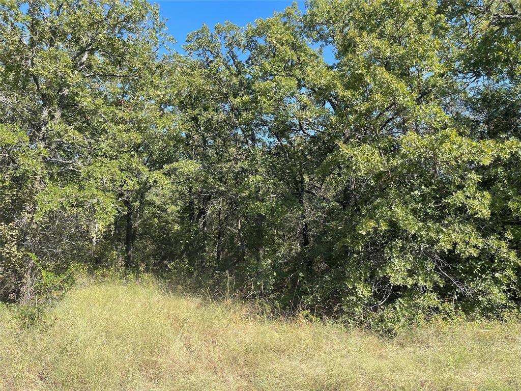 T B D FM 2127, Bowie, TX 76230