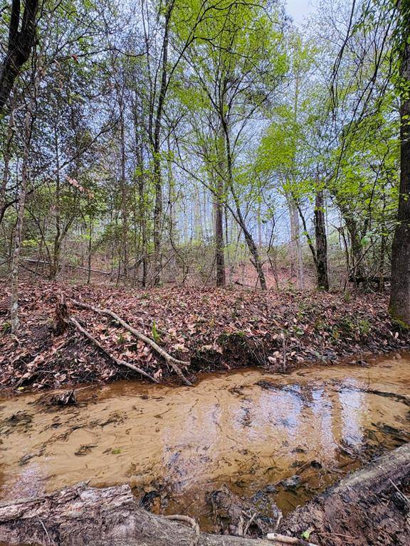 TBD FM 711, Center, TX 75935