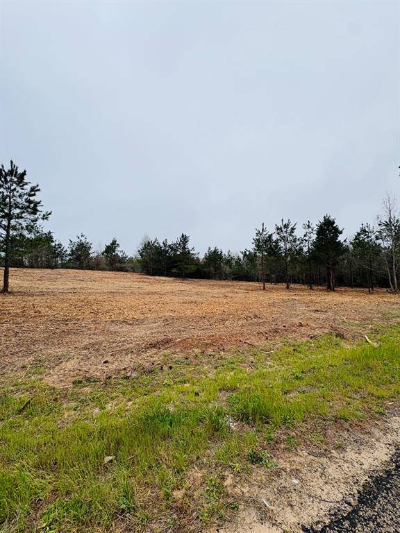 TBD FM 711, Center, TX 75935