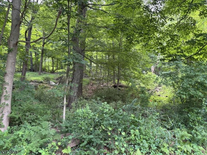 300 Alphano Road, Allamuchy Twp., NJ 07840