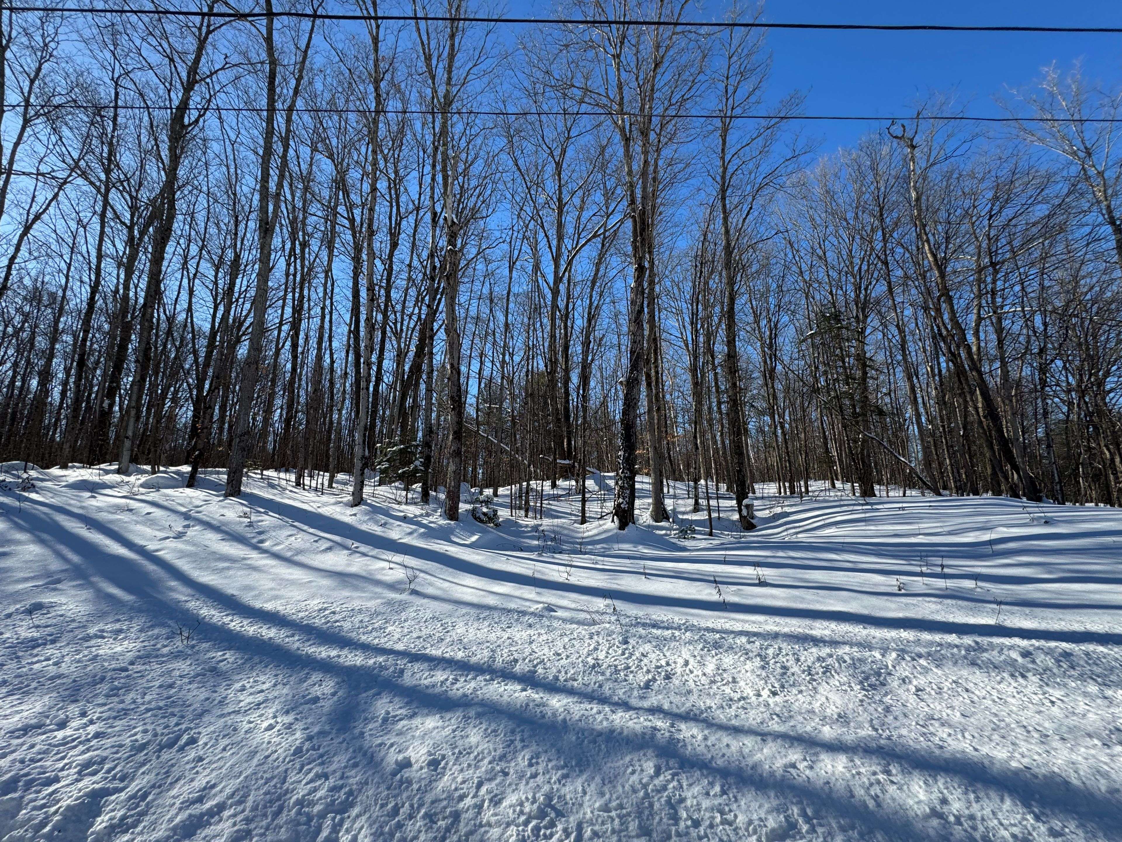 0 N Belmont Conc 10 N/A, Havelock-belmont-methuen, ON K0L 1Z0