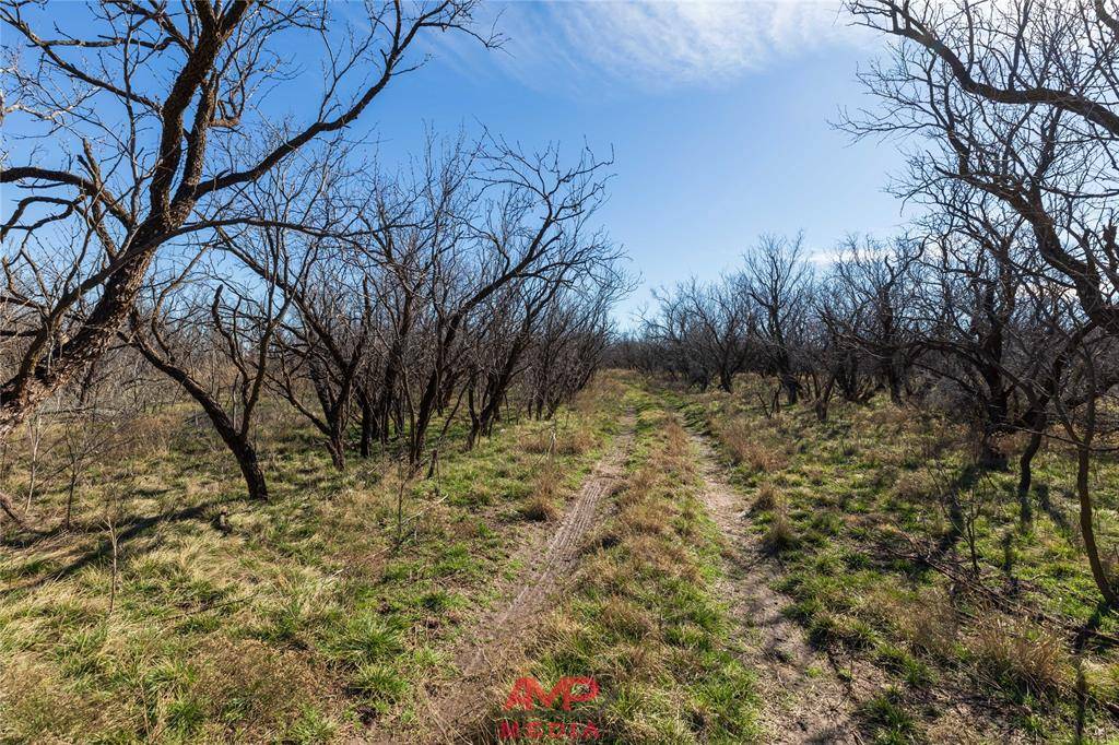 T B D County Road 260, Avoca, TX 79503