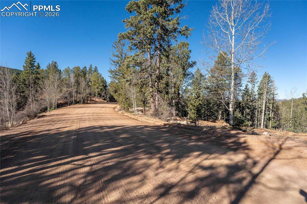 565 Fairview DR, Cripple Creek, CO 80813