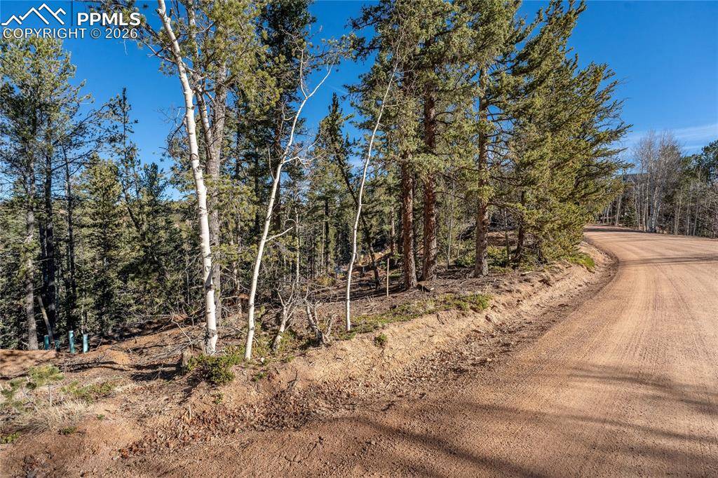 565 Fairview DR, Cripple Creek, CO 80813
