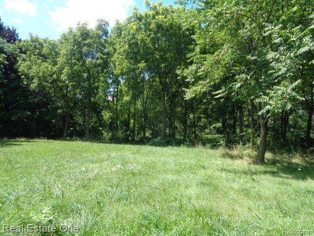 18985 TRINITY ST, Detroit, MI 48219