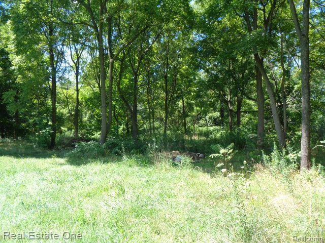 18985 TRINITY ST, Detroit, MI 48219