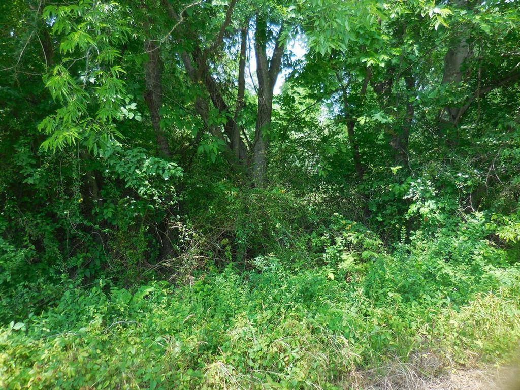 .38 Acre Garrett Avenue, East Tawakoni, TX 75472