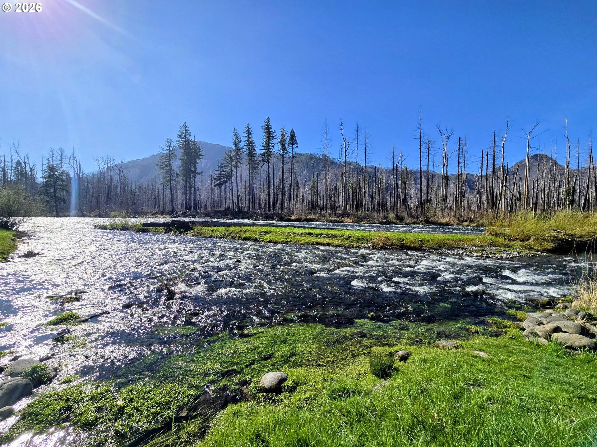 52912 MCKENZIE HWY, Blue River, OR 97413