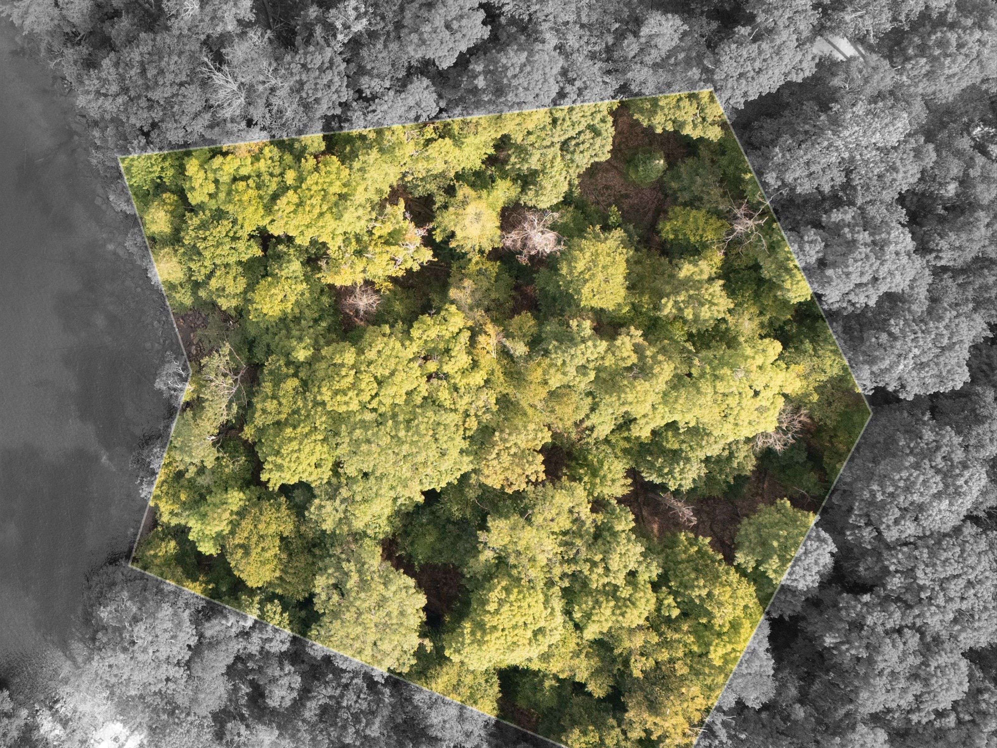 300 Bigwin IS, Lake Of Bays, ON P0B 1A0