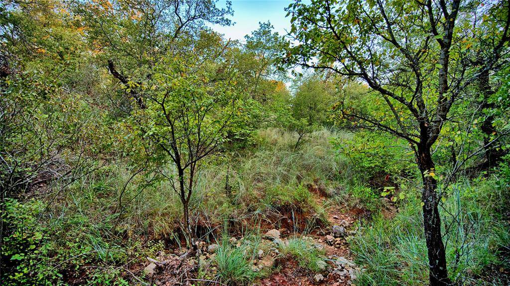 Lot 34 Red Oak Hills Road, Nocona, TX 76255