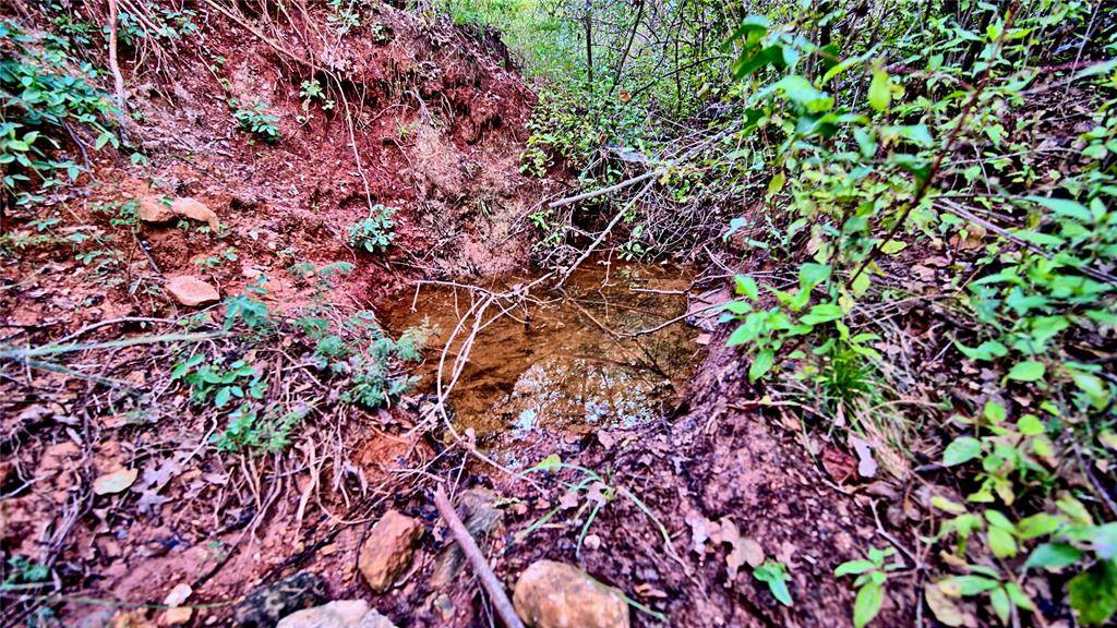 Lot 34 Red Oak Hills Road, Nocona, TX 76255