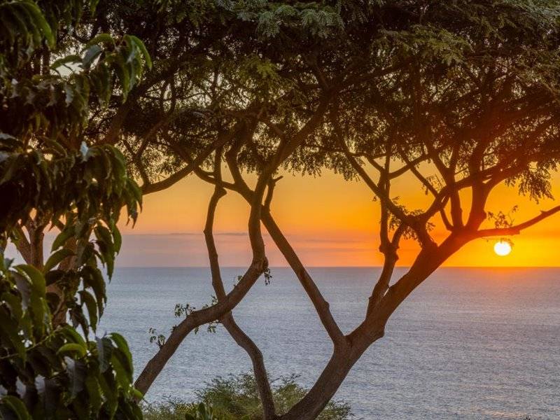 81-6426 KAELEHUA WAY, Kealakekua, HI 96750