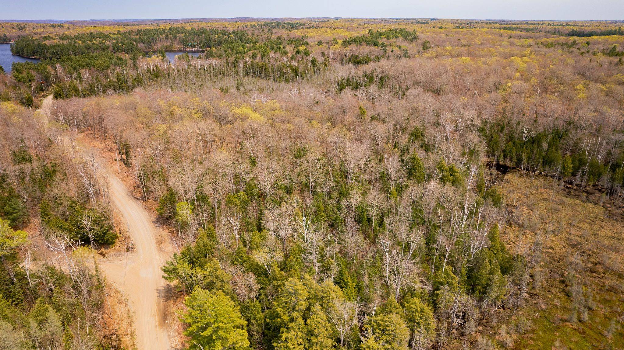 1356 Dickie Lake RD, Lake Of Bays, ON P0B 1A0