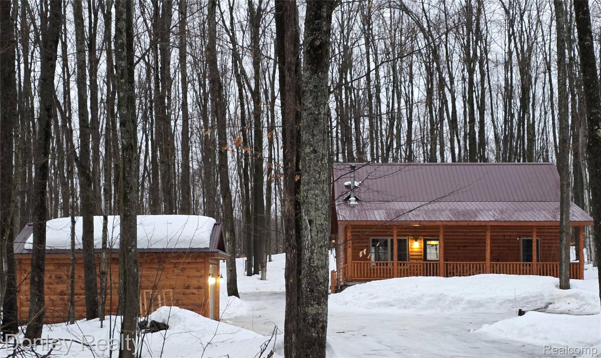 8854 Dellwood DR, Star Township, MI 49730