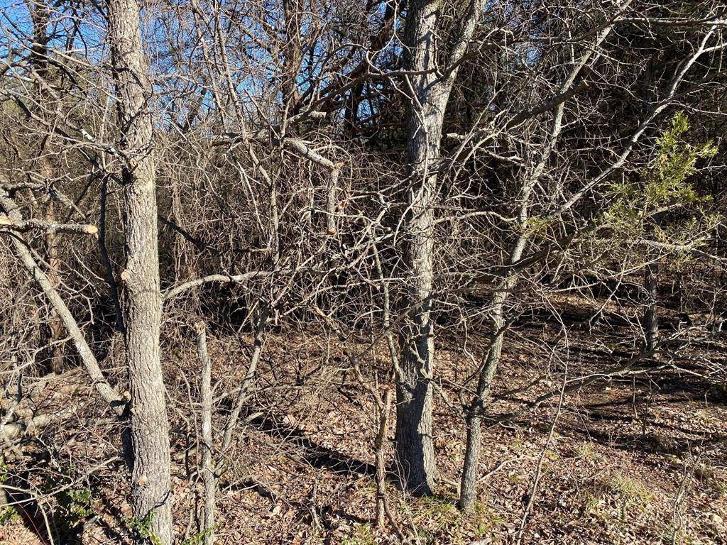 37 ac Club Lake Lane, Whitesboro, TX 76273