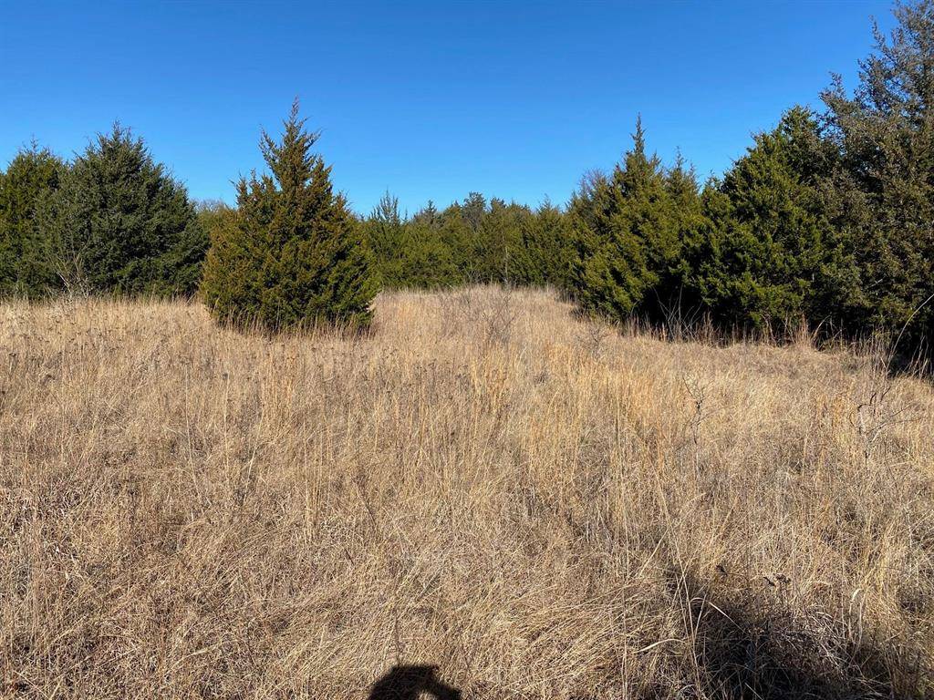 37 ac Club Lake Lane, Whitesboro, TX 76273