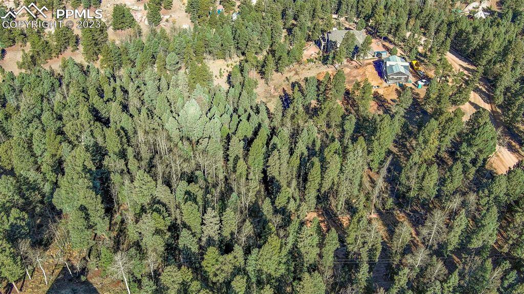 2700 N Mountain Estates RD, Florissant, CO 80816