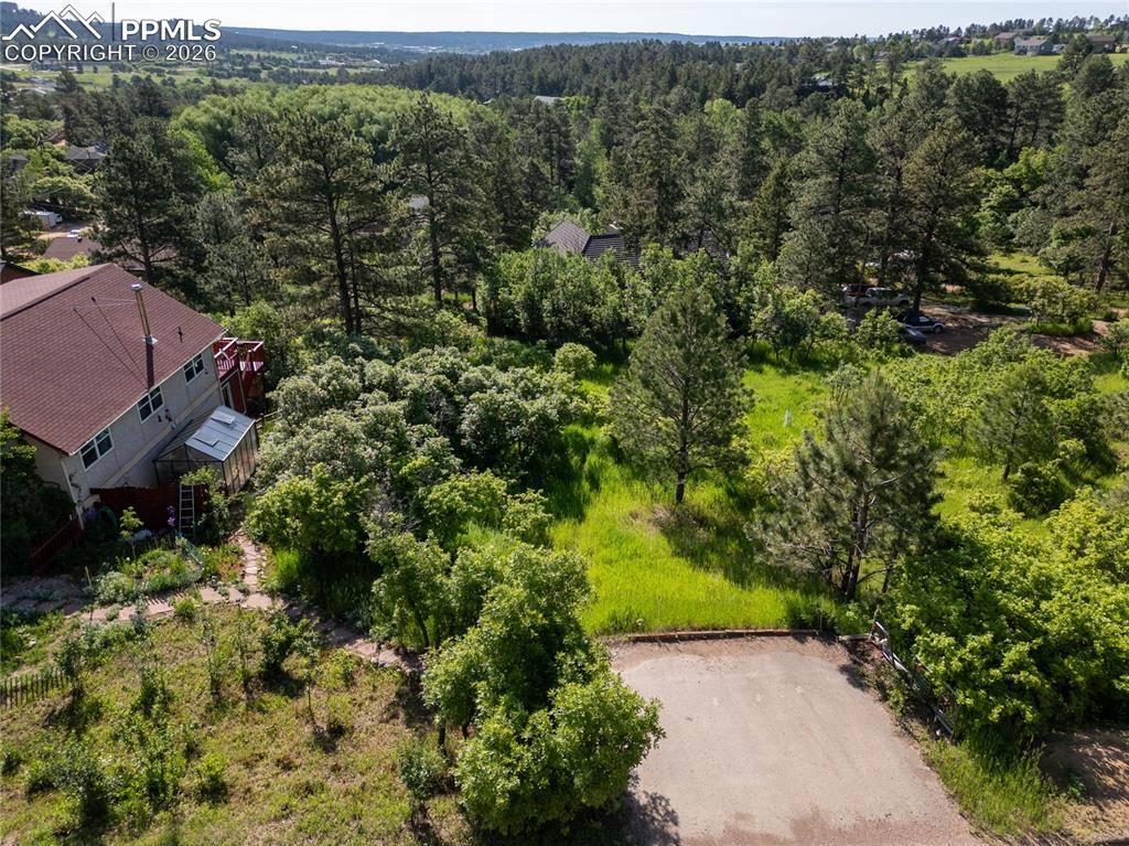 Buena Vista AVE, Palmer Lake, CO 80133