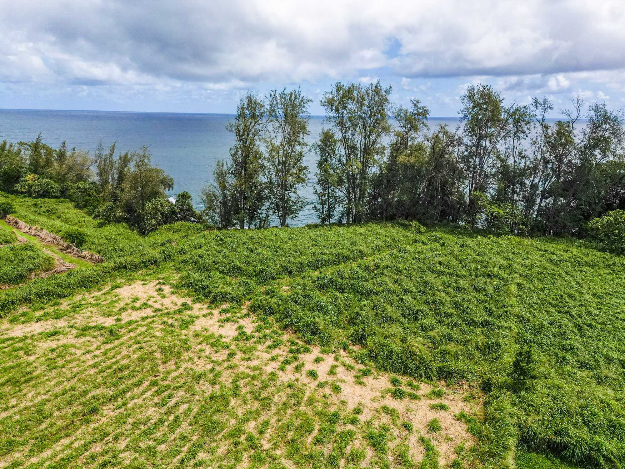 28-1168 LOA RD, Pepeekeo, HI 96783