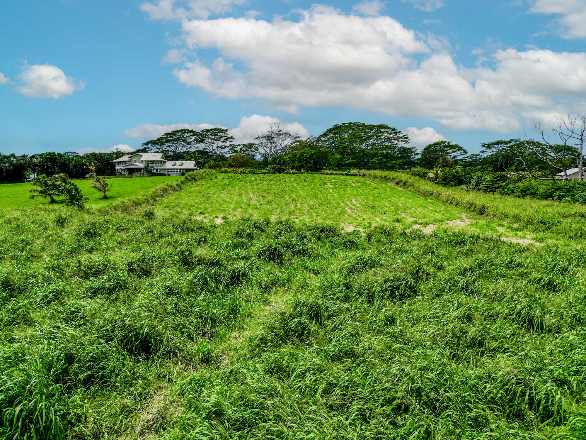 28-1168 LOA RD, Pepeekeo, HI 96783