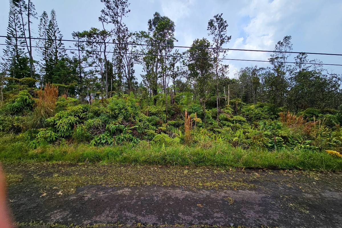 11-3011 ALII KANE ST, Volcano, HI 96785