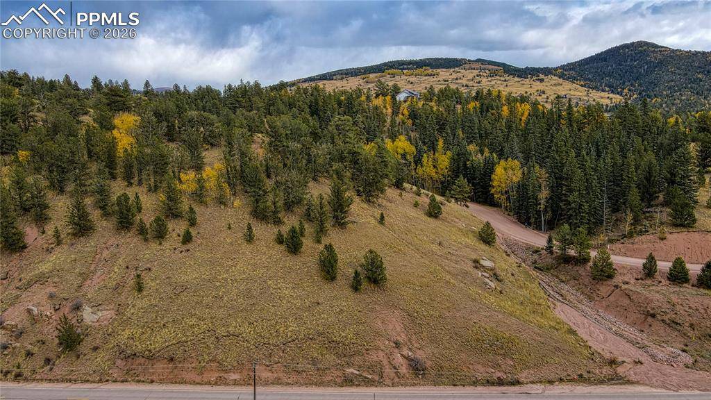 65 Portland DR, Cripple Creek, CO 80813