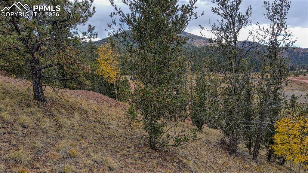 65 Portland DR, Cripple Creek, CO 80813
