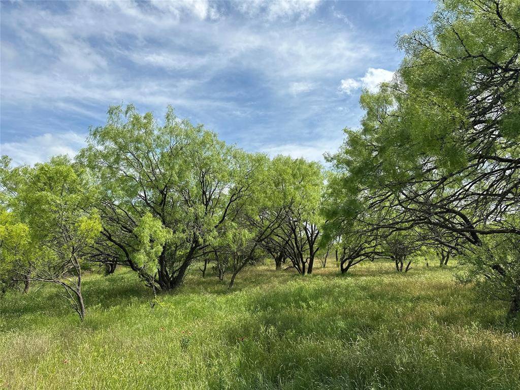Tract 17 CR 150, Abilene, TX 79601