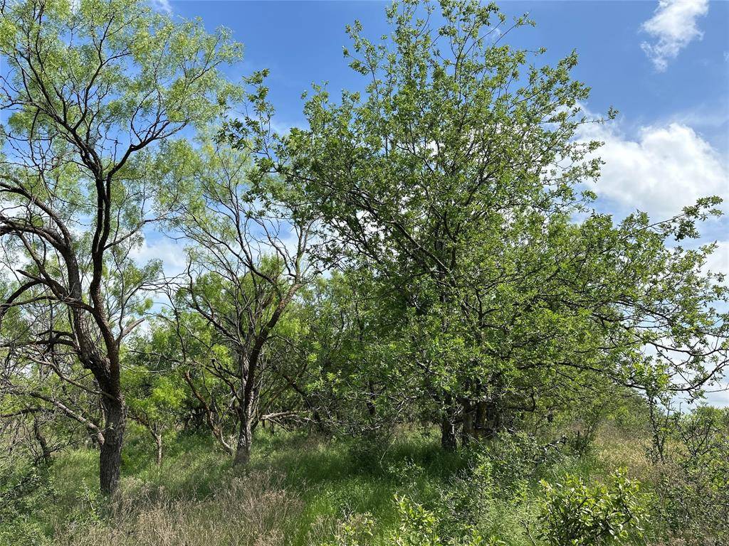 Tract 17 CR 150, Abilene, TX 79601