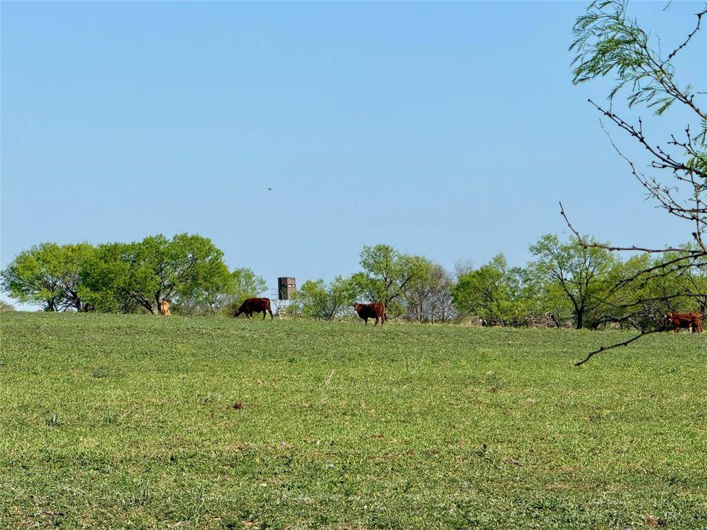 9455 County Road 189, Bangs, TX 76823