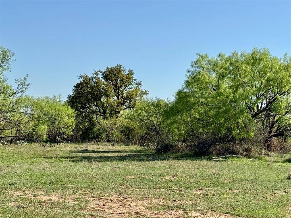 9455 County Road 189, Bangs, TX 76823
