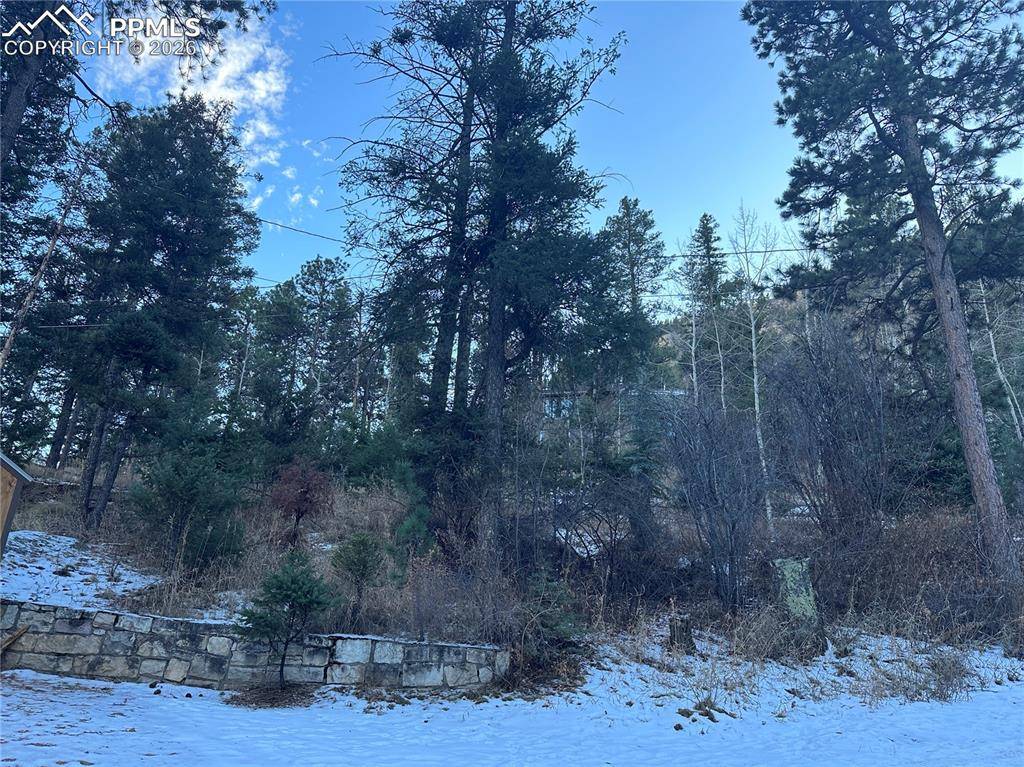 TBD WildWood RD, Cascade, CO 80809