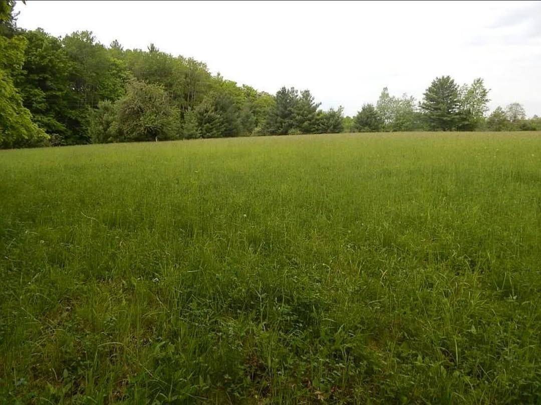 Kings Corner RD, Mikado Twp, MI 48745