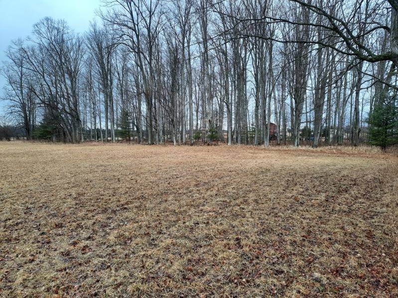 Kings Corner RD, Mikado Twp, MI 48745