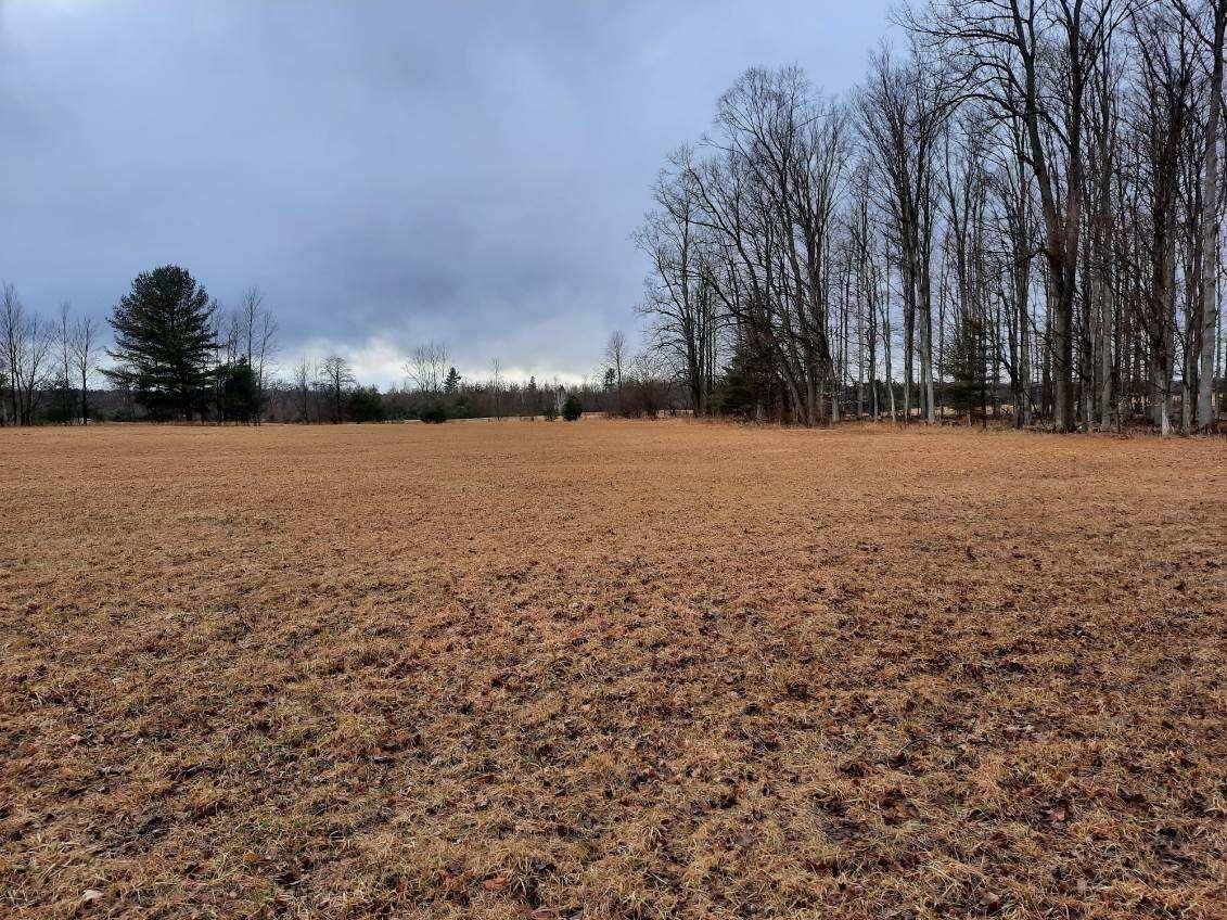 Kings Corner RD, Mikado Twp, MI 48745