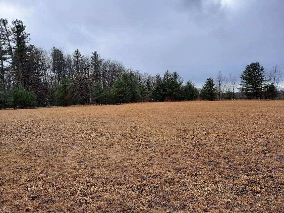 Kings Corner RD, Mikado Twp, MI 48745