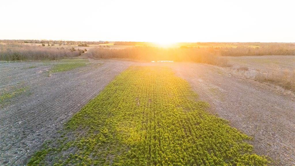 TBD County Rd 3070, Ben Franklin, TX 75415