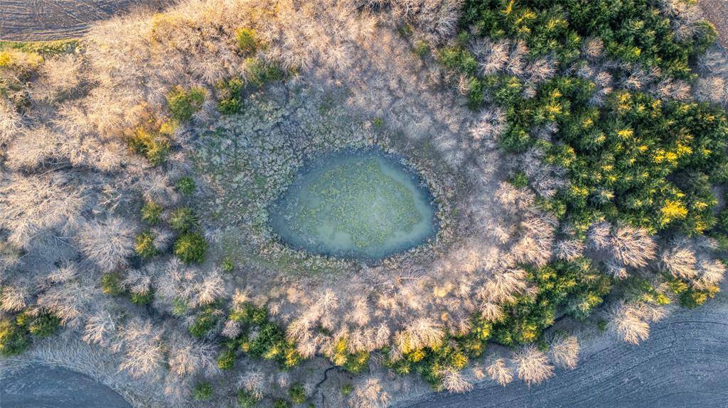 TBD County Road 3070, Ben Franklin, TX 75415