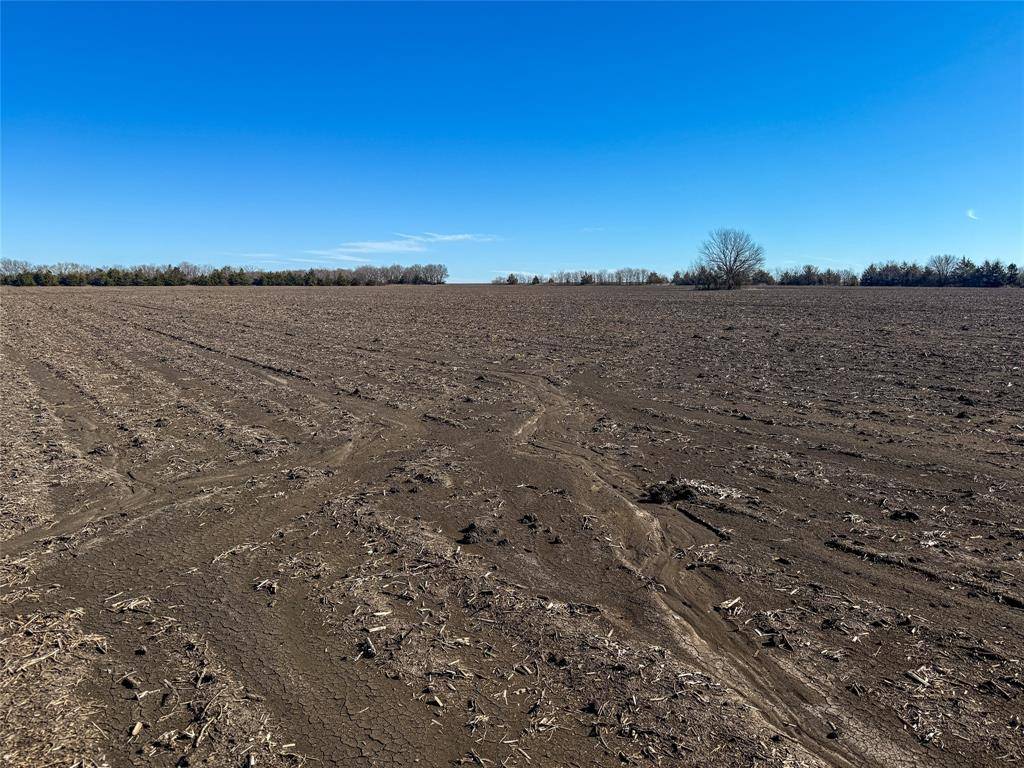 TBD County Rd 3240, Ben Franklin, TX 75415