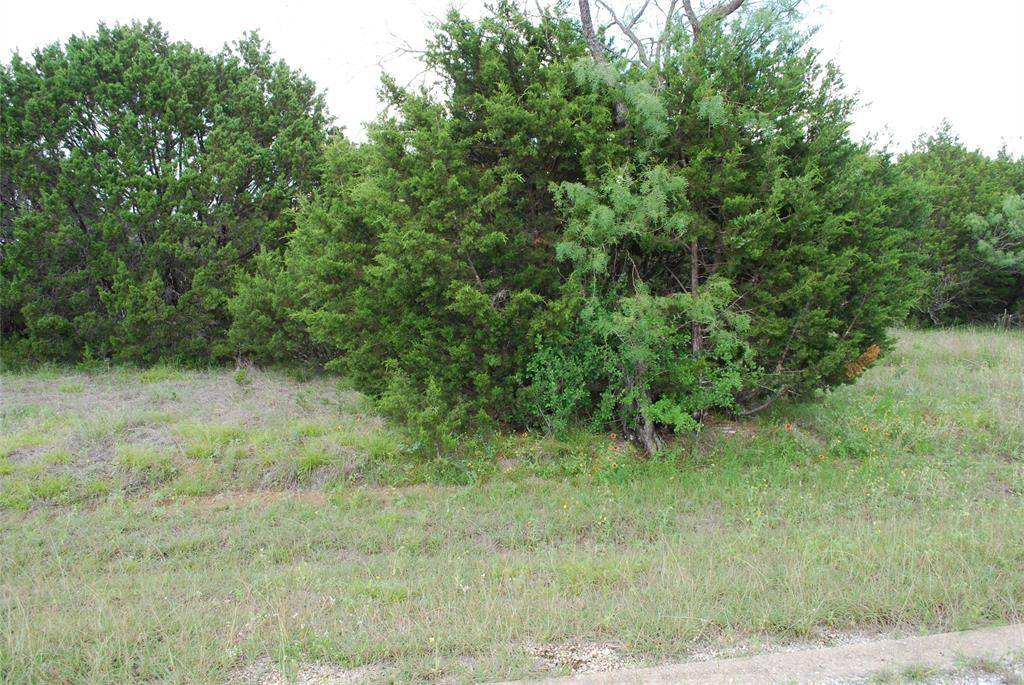 23067 Oak Ridge Drive, Whitney, TX 76692