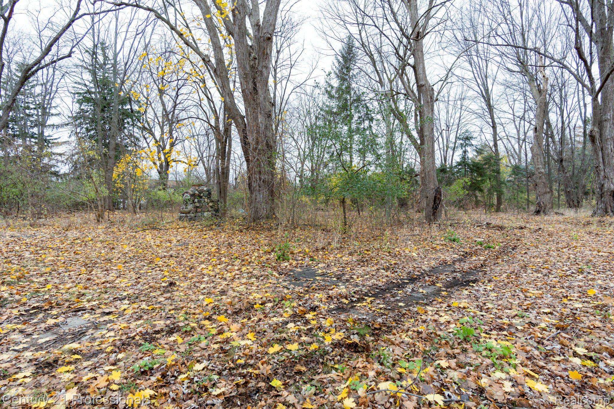 LOT 2 W WALTON, Waterford Charter Township, MI 48329