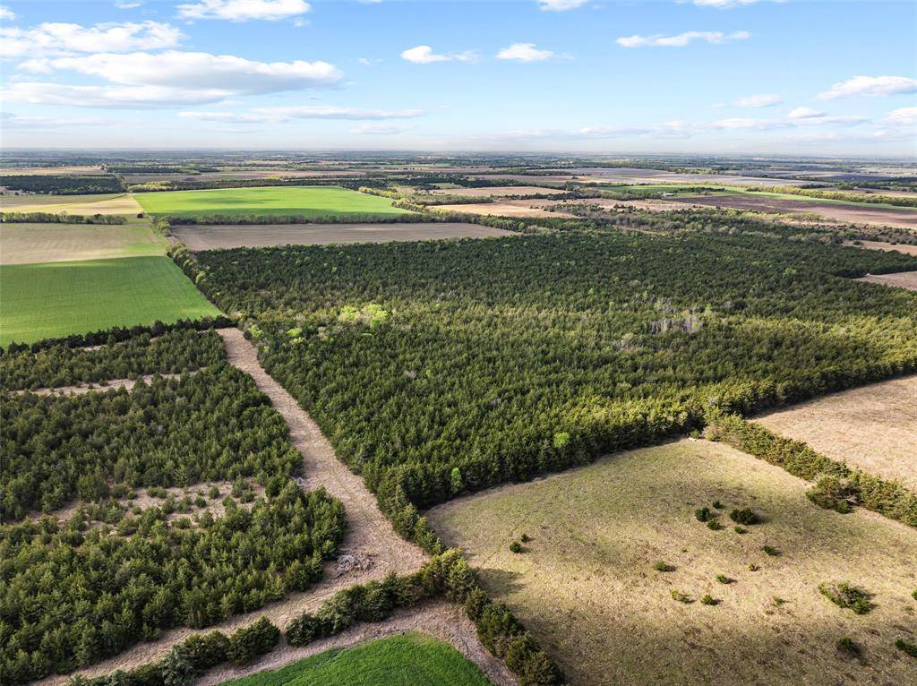 TBD FM 198, Cooper, TX 75432