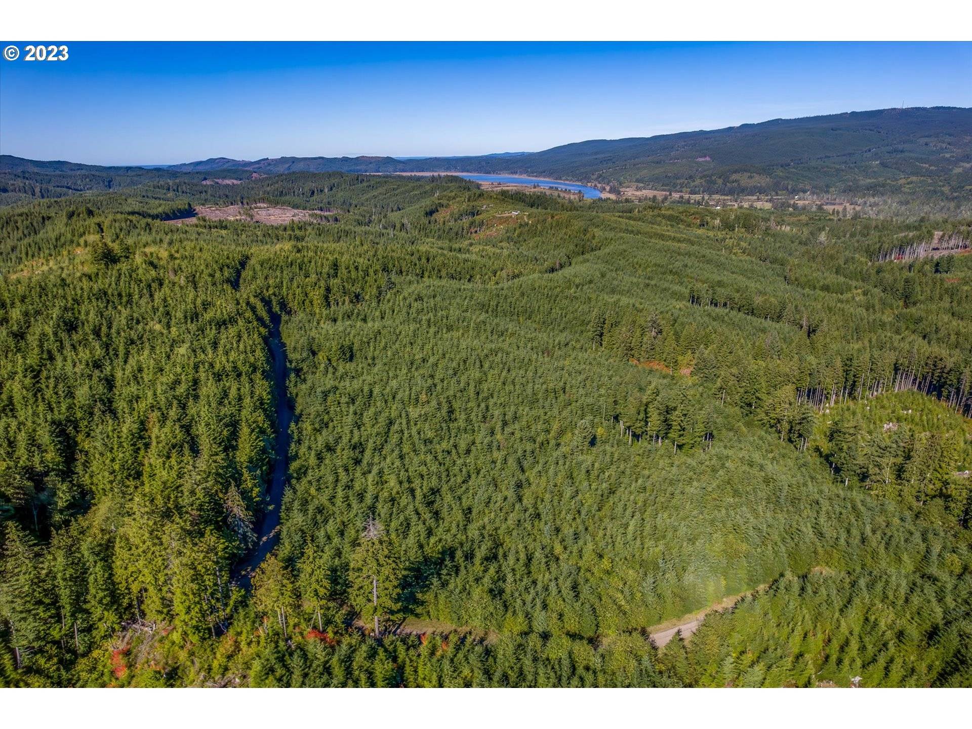 6 Parpala RD #6, Naselle, WA 98638