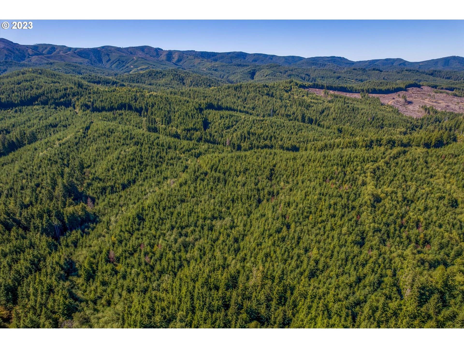 6 Parpala RD #6, Naselle, WA 98638