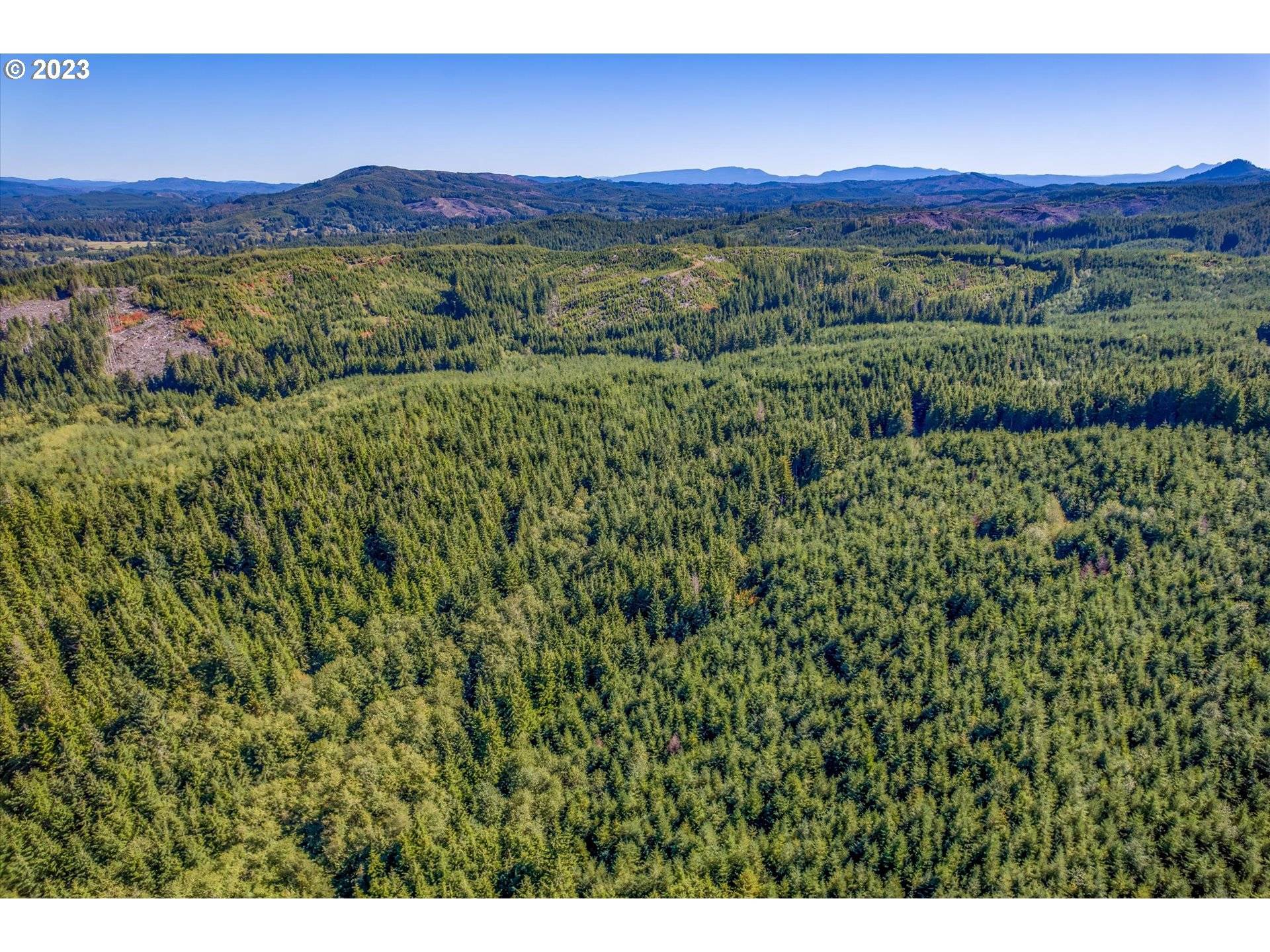6 Parpala RD #6, Naselle, WA 98638