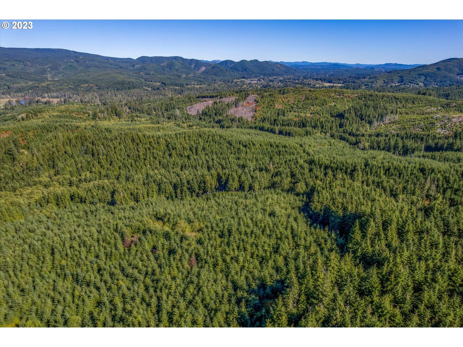 6 Parpala RD #6, Naselle, WA 98638