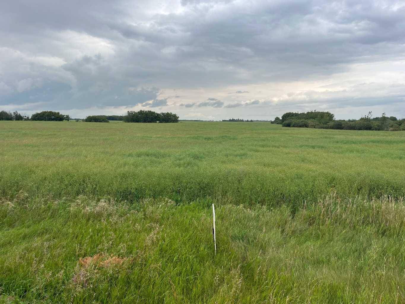 316 Niblock ST, Bawlf, AB T0B 0J0