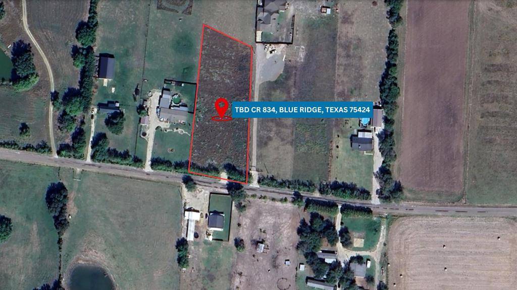 TBD CR 834, Blue Ridge, TX 75424