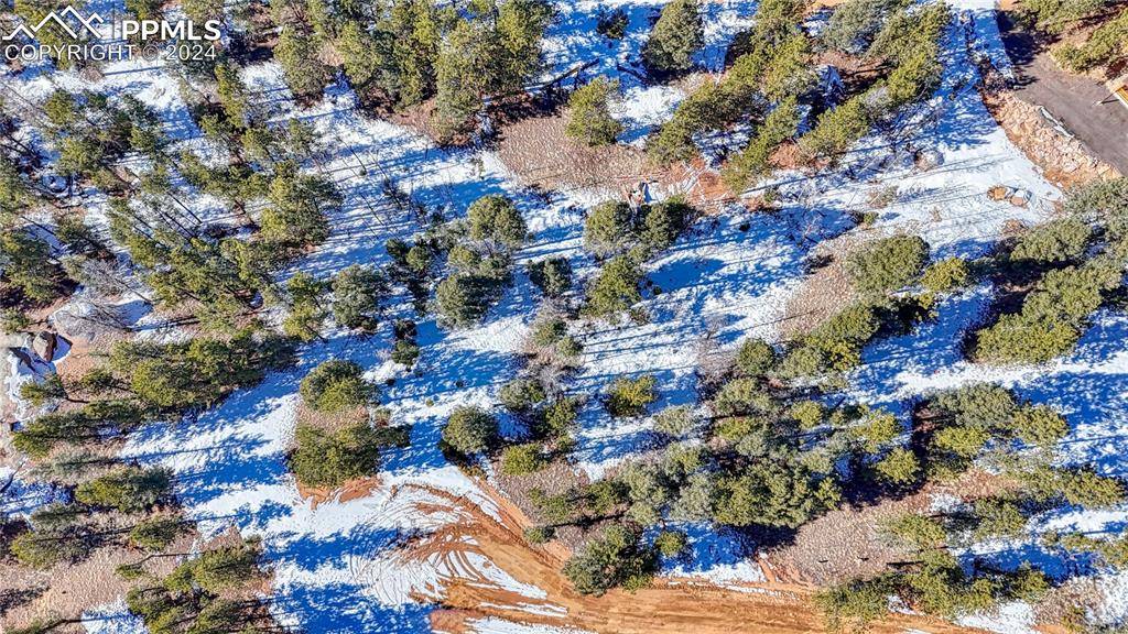 79 Huntsman CIR, Florissant, CO 80816