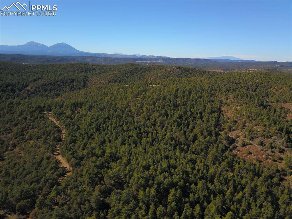 000 Ponderosa TRL, Trinidad, CO 81082